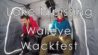 Walleye Wackfest!!