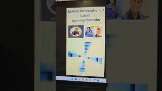 Latent/Observational/Spatial Learning Behaviour in Animals #msc #shorts #ytshorts #trending #viral