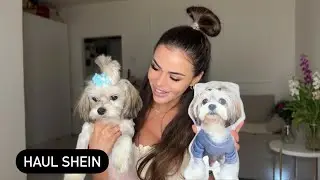 Haul @SHEINOFFICIAL