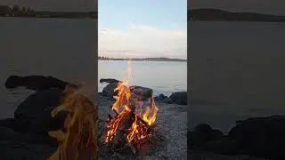 #лес #мир #топ #жизнь #путь #странник #рек #путешествия #рекомендации #волшебство