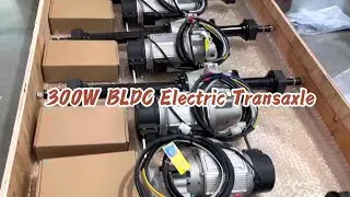 300W BLDC Electric Transaxle