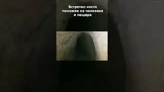 Хотел снять летучих мышей, а снял...