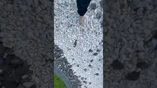 Это ДЖегута брат🤣🥋#врекомендации #tiktok #кавказ @RamAuto1