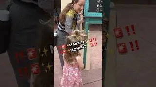 ✨Pixie Dust = Precious Memories✨ 