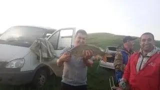 carpfishing ,ураган.Фидерная рыбалка, карповая рыбалка, поймали карпа