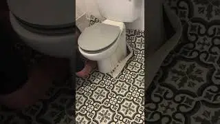 How to - Around a toilet 🚽 ✅