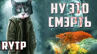 ТЕРРАРИУМНЫЙ ГИТЛЕР [RYTP]