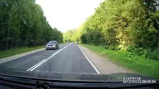 Шальной олень