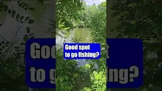 Don't Fall For It! This Fishing Spot Is A Trap
