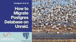 How to Migrate Postgres on Unraid