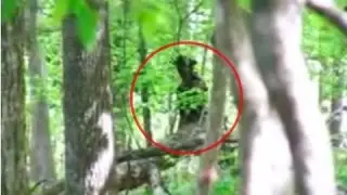 5 Паранормальных Столкновений в Лесу