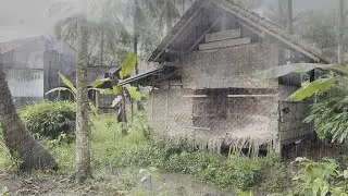 [4K] Relaxing Rain Walk in West Java Village | Indonesian Village of Life