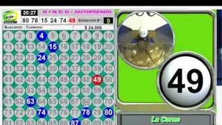 BINGO TV EN VIVO - 03/10/2024