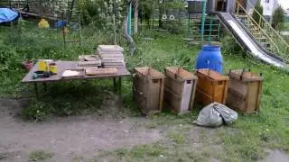 Ловушка для пчел. Комплектуем, устанавливаем, снимаем с медом. 2016 год