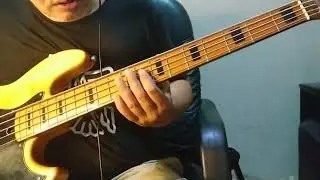 EASY FUNK BASSLINES IN D MINOR_ACID JAZZ STYLE
