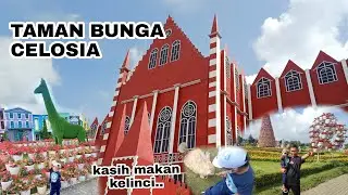 TAMAN CELOSIA SEMARANG || CELOSIA PARK