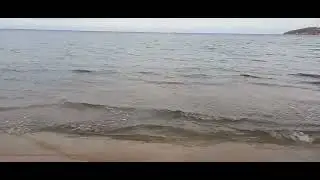 8 ноября 2022 г.