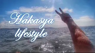 Блог DNSTP \ 