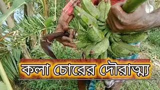 চোর ধইরা মাফ চাওন লাগে || কলা চোরের দৌরাত্ম