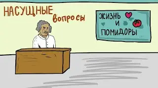 Насущные вопросы | Жизнь и помидоры