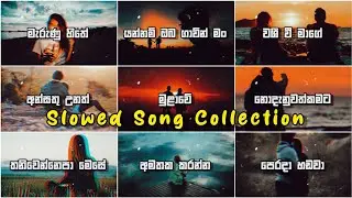 මනෝපාරකට හොදම Slowed සිංහල සිංදු එක දිගට Vol: 08 | Best Sinhala Song Slowed | A Mood Change Music
