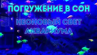 Музыка для сна и спокойствия, неоновый аквариум с рыбками