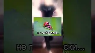 #юмор #мем #мемы #мемы2022 #мемчики