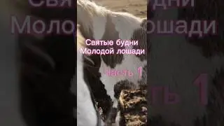 СВЯТЫЕ БУДНИ. Полная версия в разделе «видео»
