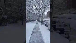 New York City Snowy day 2024