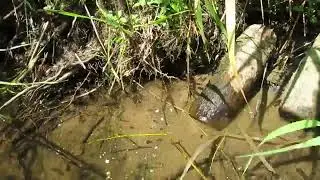 После дождя.
