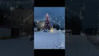 Wonderful snow⛄️