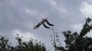 НЕБО УРОНИТ НОЧЬ НА ЛАДОНИ