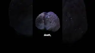 Your brain still works after death