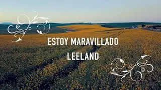 Estoy Maravillado / I Wonder - Leeland - Letra En Español