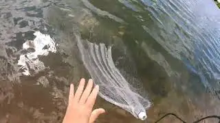 Awesome fishing with a 6m casting net. Finally, it's my turn to have a holiday 😁😁😁😁😁🔥🔥🔥