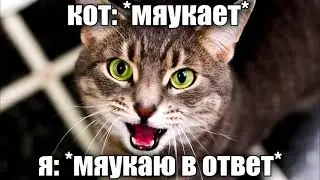 я тебя переформатирую