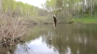 Ловля карася на поплавочную удочку
