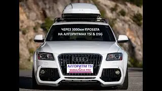 Масложор на Ауди Q5. Итоги Алгоритма TSI и DSG спустя 3т км