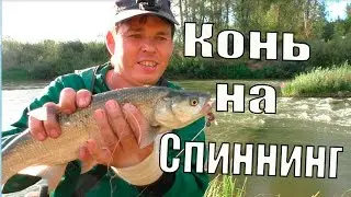 Жерех на Fanatik ,съедобный силикон.