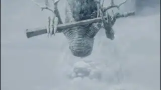 Sekiro: Shadow Die Twice Divine Dragon Boss