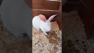Мать прилегла отдохнуть