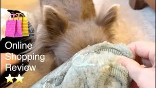 I really liked this one, BUT…Oh well, not everything is perfect…​⁠#chihuahua @MilaChihuahua