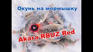 Окунь НА МОРМЫШКУ В ЯНВАРЕ. ТЕСТИРУЮ Akara RBUZ Red