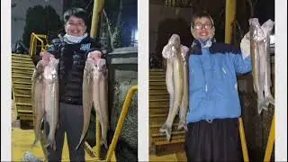 MATUNGOS PARA GRANDES Y CHICOS.#fishing #pescadores #pejerrey #sport #fish #niños#lanchas#boyas