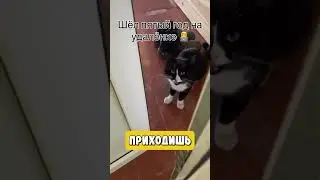I wonder what he said? 😅
