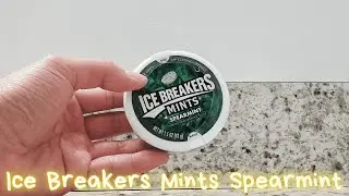 In Hand Review of ICE BREAKERS Spearmint Sugar Free Mints