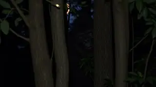 Симулятор ловли БИКФУТА!! Я обосрался!!!!!!!!!!!!!!!!!!!!!!!