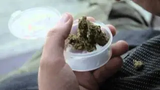 BREWS GRAPES LOOPS AND BREAKS