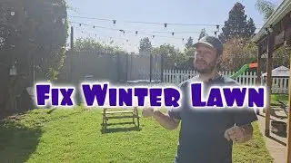 How To Fix A Lawn After Winter