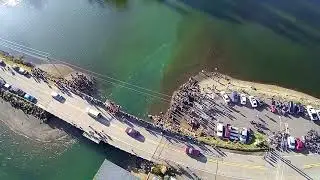 polar bear plunge 2018